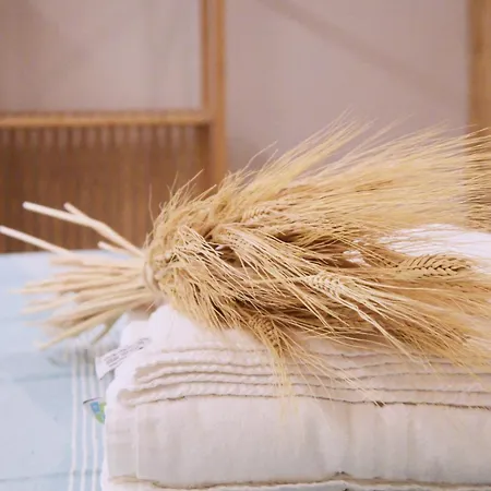 Casa Mya Appartement *